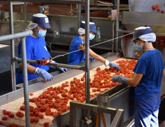 Alimentaristi: firmato nuovo contratto nazionale dipendenti cooperative