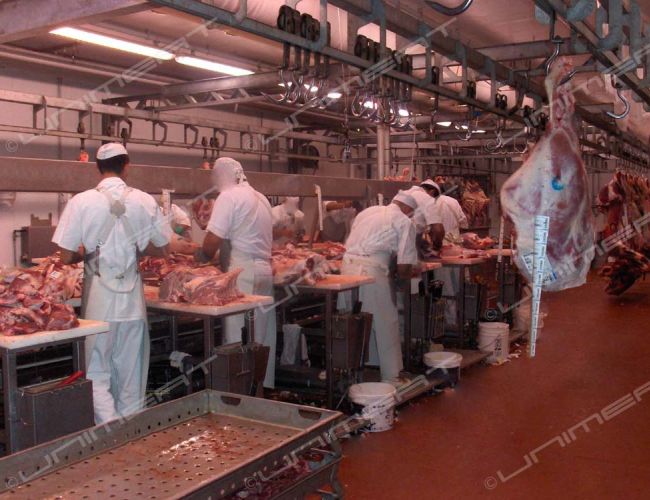 Lavorazione carni, Fai Cisl: «Bene blitz contro sfruttamento lavoro, in pieno svolgimento nostra campagna “Sos caporalato”»