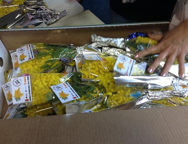 8 marzo: a Modena iniziativa di Cgil Cisl Uil sui 70 anni del diritto di voto alle donne