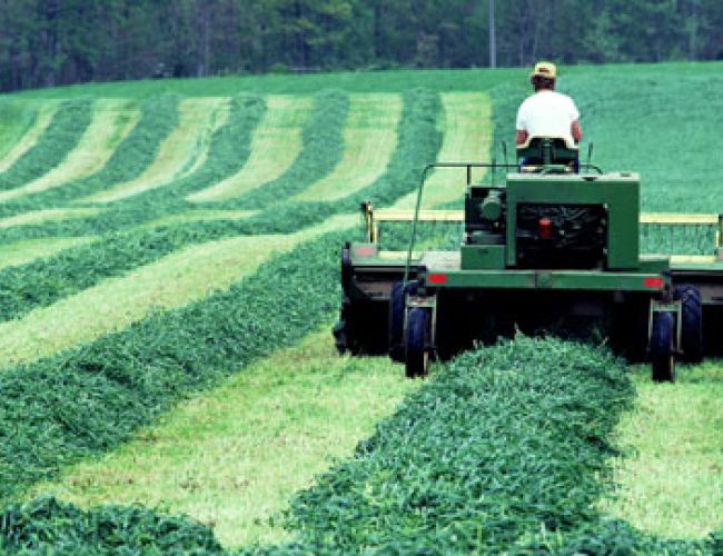 Rinnovato contratto operai agricoli provincia di Modena