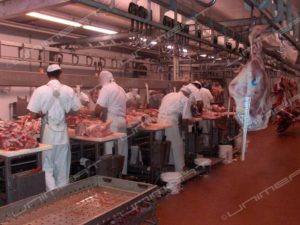 carni-lavorazione_2